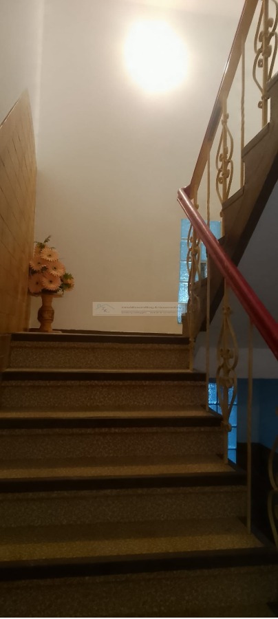 TReppen N 1 Mehrfamilienhaus Selb