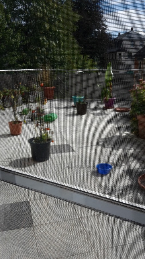 Terasse/Balkon Maisonettewohnung R�slau